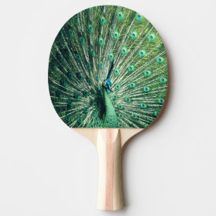 Pala De Ping Pong Peacock Strut