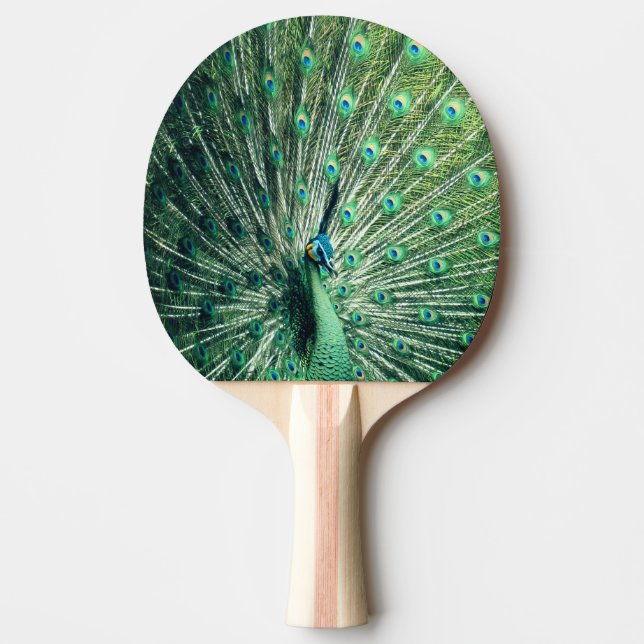 Pala De Ping Pong Peacock Strut (Anverso)