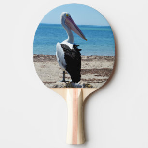 Pala De Ping Pong Pelican Encaramado En Un Peñón De Playa,