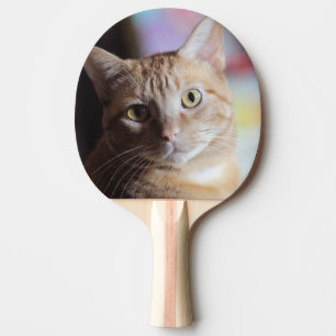 Pala De Ping Pong Penny