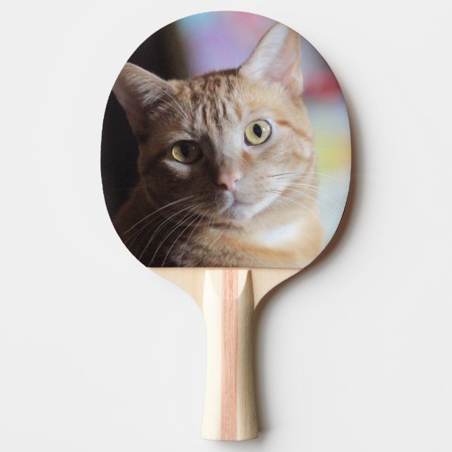 Pala De Ping Pong Penny (Anverso)