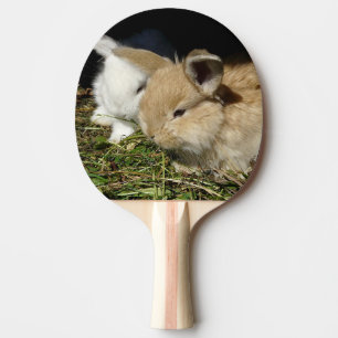 Pala De Ping Pong Pequeños conejitos esponjosos