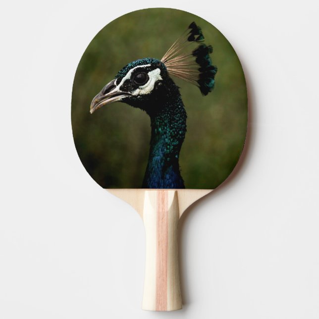 Pala De Ping Pong Perfil del pavo real (Anverso)