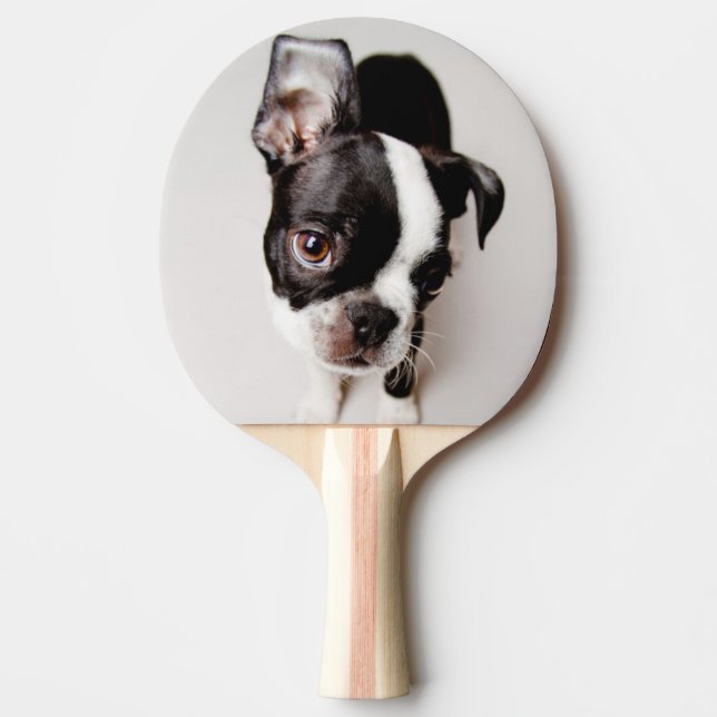 Pala De Ping Pong Perrito de Edison Boston Terrier (Anverso)