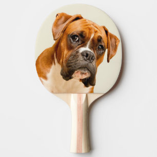 Pala De Ping Pong Perrito del boxeador en el contexto poner crema de