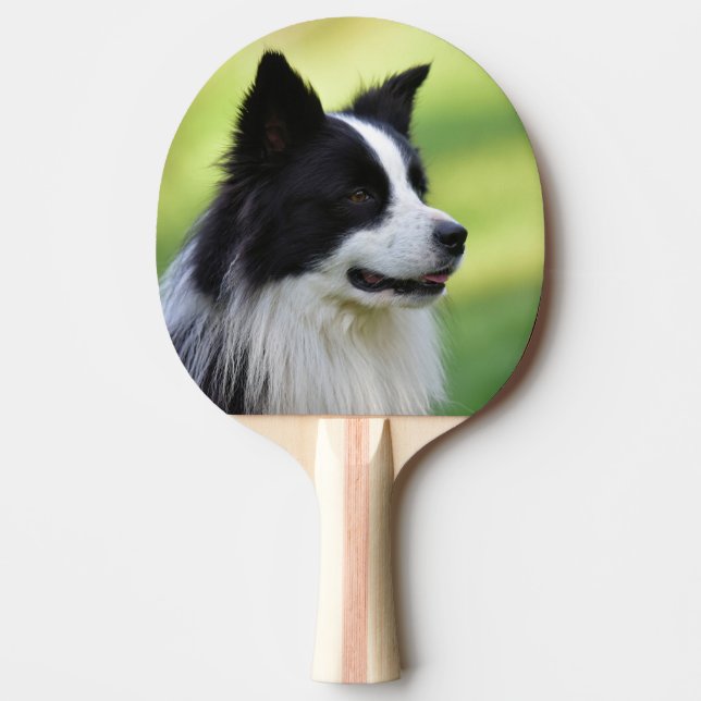 Pala De Ping Pong Perro Border Collie negro y blanco (Anverso)