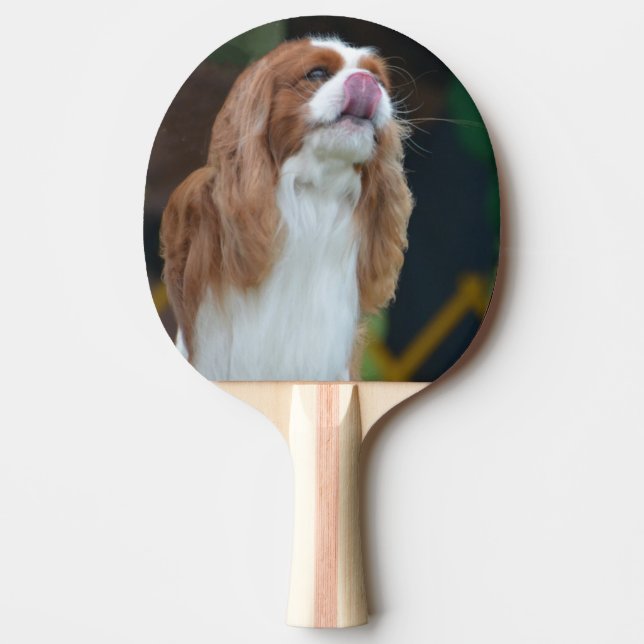 Pala De Ping Pong Perro de aguas de rey Charles arrogante dulce (Anverso)