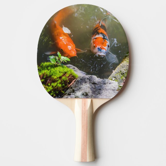 Pala De Ping Pong Pescado de Koi en un estanque (Anverso)