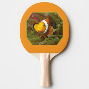 Pala De Ping Pong Pez payaso en anémona verde. Diseño fotográfico   