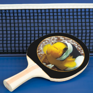 Pala De Ping Pong Pez payaso - ¡Primer plano! Diseño fotográfico red
