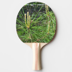 Pala De Ping Pong Pine Needles por Kenneth Yoncich