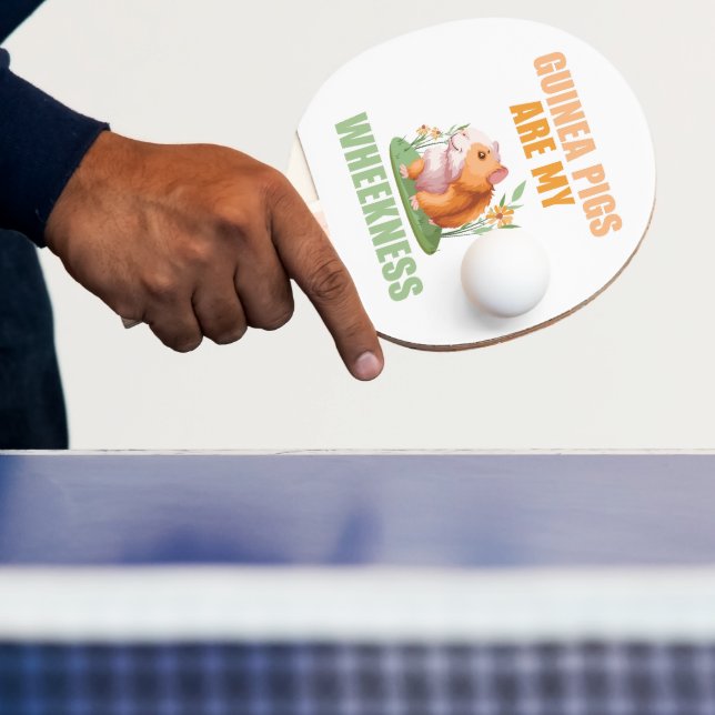 Pala De Ping Pong Ping Pong Paddle (in situ)