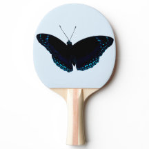 Ping Pong Paddle