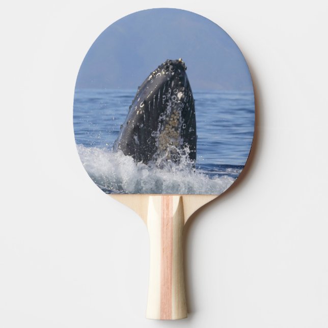 Pala De Ping Pong Ping pong paddle con ballenas (Anverso)
