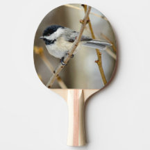 Ping Pong Paddle, de chapa negra