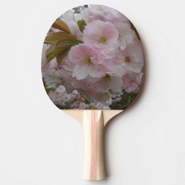 Pala De Ping Pong Ping Pong Paddle Primavera Pinky, Red Rubber Back (Anverso)