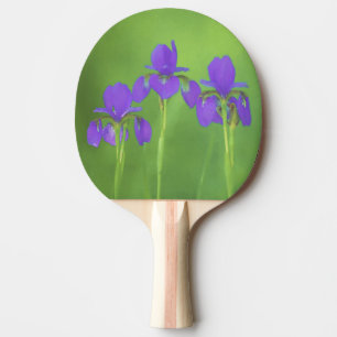 Pala De Ping Pong Pintura de iris morado - Arte de flores original