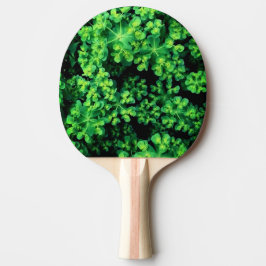 Pala De Ping Pong Planta Bobble