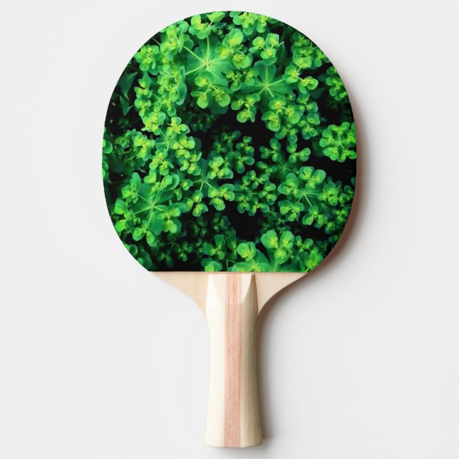 Pala De Ping Pong Planta Bobble (Anverso)