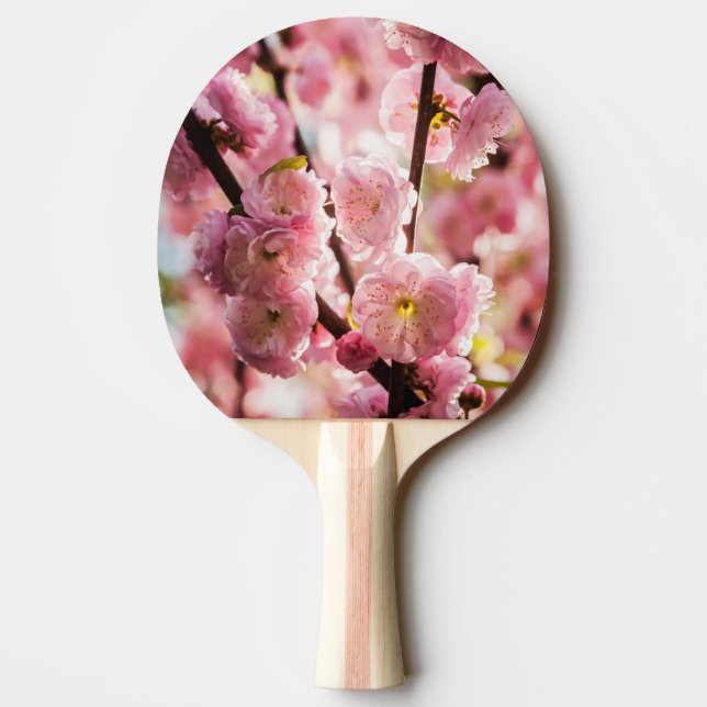 Pala De Ping Pong Pluma de flores - Paradismo rosa (Reverso)