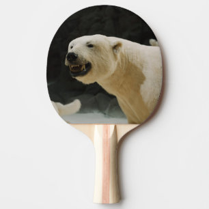 Pala De Ping Pong Polar Bear Grin