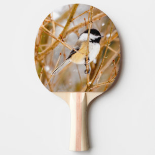 Pala De Ping Pong Pollito de punta negra - Fotografía original