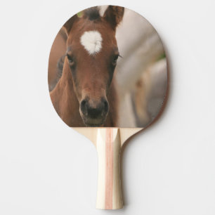 Pala De Ping Pong Potro lindo