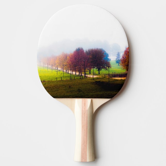 Pala De Ping Pong Prado brumoso en otoño (Anverso)