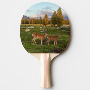 Pala De Ping Pong Prado de Tuolumne, Yosemite