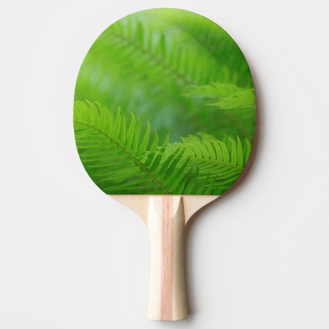 Pala De Ping Pong Primer plano de helecho espada (Anverso)