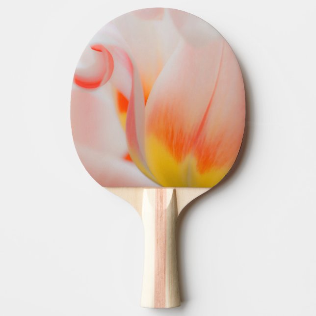 Pala De Ping Pong Primer plano de tulipán 3 (Anverso)