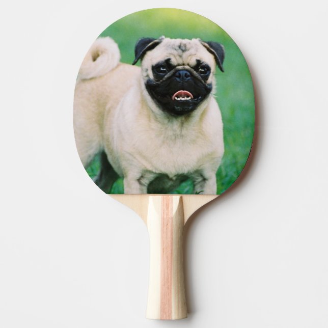 Pala De Ping Pong pug-30.jpg (Anverso)