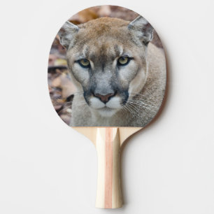 Pala De Ping Pong Puma, león de montaña, pantera de Florida, Puma 2
