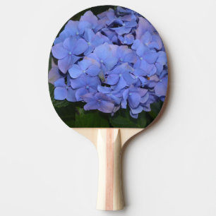 Pala De Ping Pong Púrpura Rústica Hidrangea macrophylla