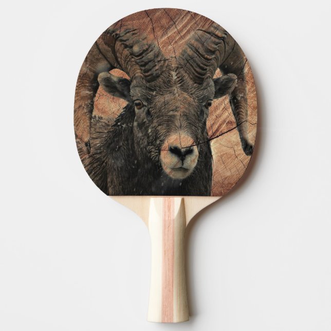 Pala De Ping Pong Ram (Anverso)