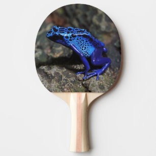 Pala De Ping Pong Rana Dart de veneno azul, Rana azul brillante
