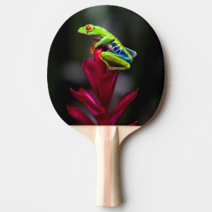 Pala De Ping Pong Rana de ojos rojos