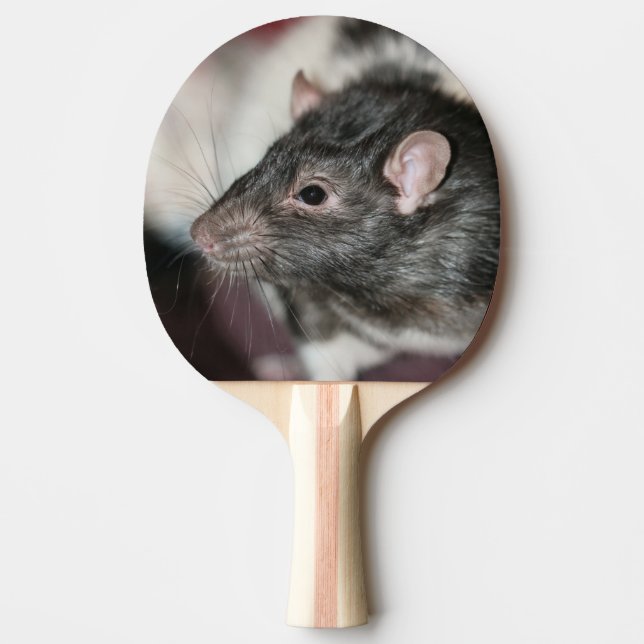 Pala De Ping Pong Rata (Anverso)