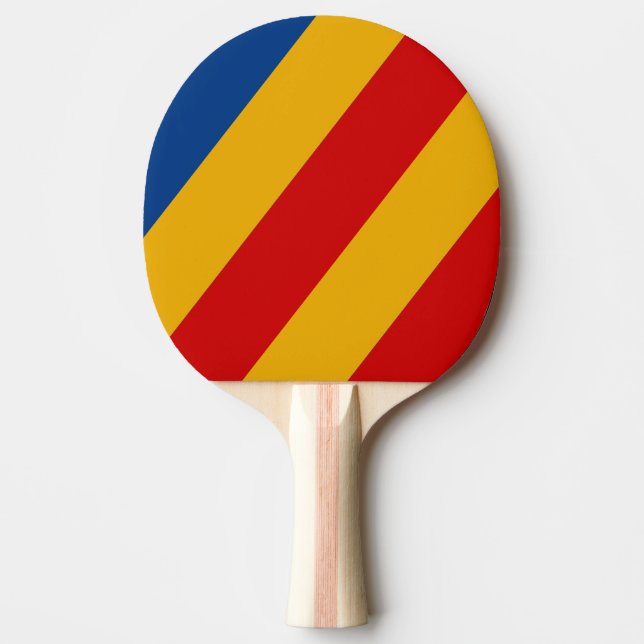 Pala De Ping Pong Rayas Audaces Retro Cálidas (Anverso)