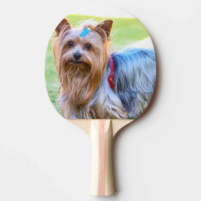 Pala De Ping Pong Raza favorita de Yorkshire Terrier Yorkie (Anverso)