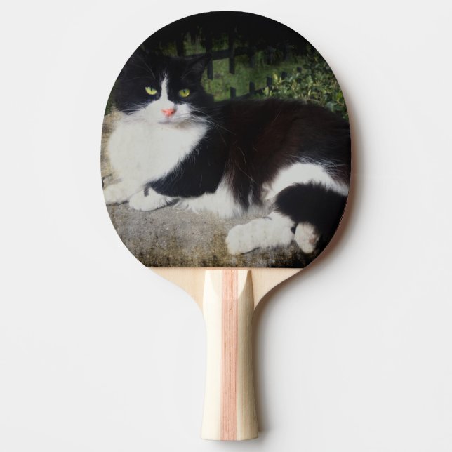 Pala De Ping Pong Reina de la paleta del ping-pong del gato del (Anverso)
