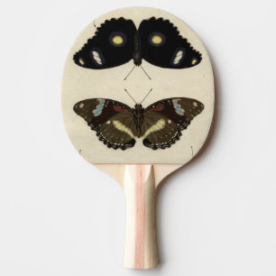 Pala De Ping Pong Relevo colorido de la mariposa en el fondo poner