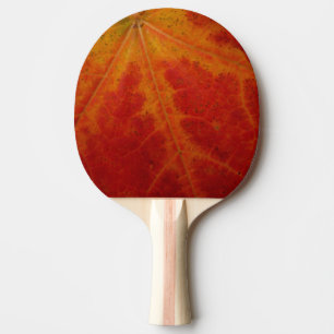 Pala De Ping Pong Resumen de la hoja de arce roja Fotografía de la n