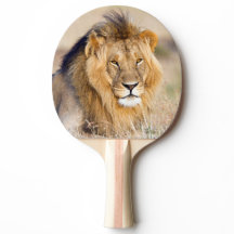 Retrato animal salvaje majestuoso de león