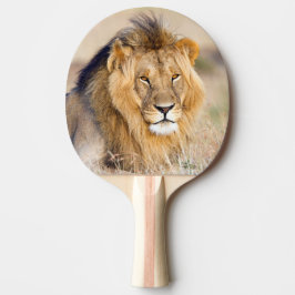 Pala De Ping Pong Retrato animal salvaje majestuoso de león