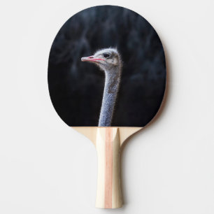 Pala De Ping Pong retrato de avestruz