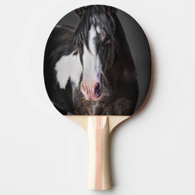Pala De Ping Pong Retrato de caballo II (Anverso)