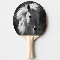 Retrato de caballo V