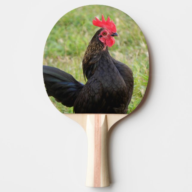 Pala De Ping Pong Retrato de gallo (Anverso)