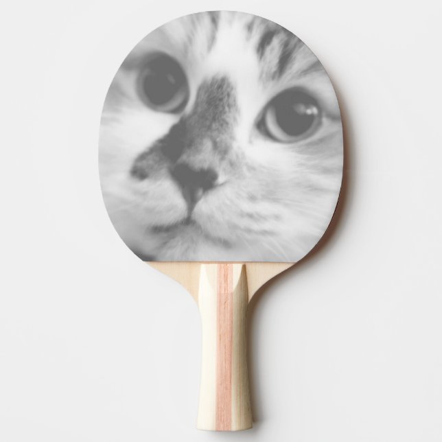Pala De Ping Pong Retrato de gato de Gatito SUPER CUTE (Anverso)